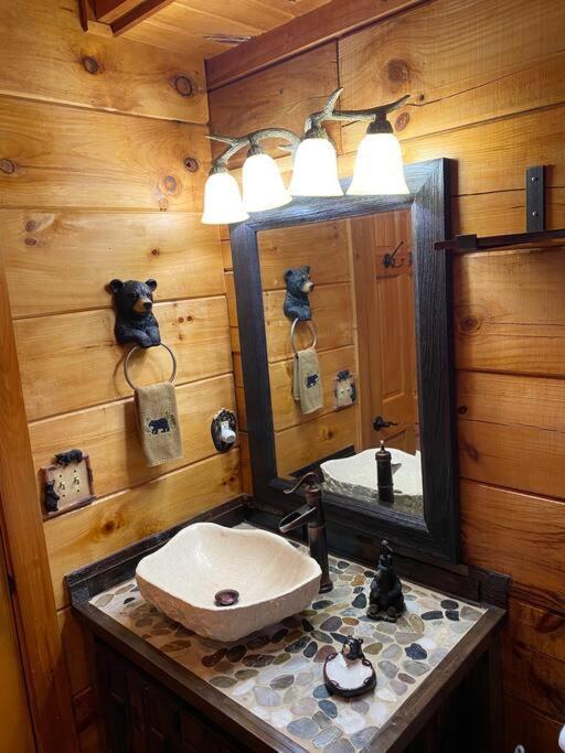 Bear Country Cabin Севьервилл Экстерьер фото