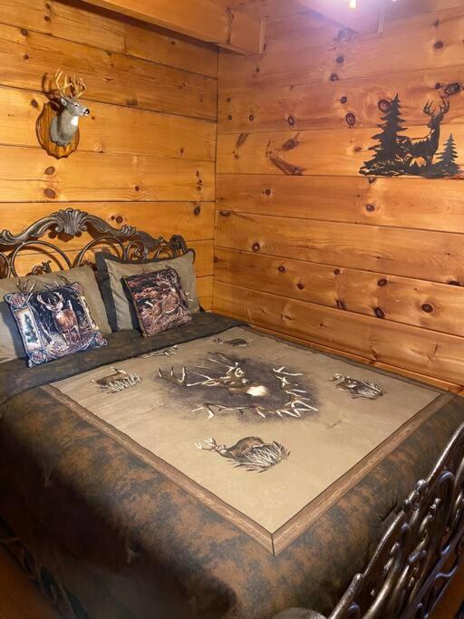 Bear Country Cabin Севьервилл Экстерьер фото