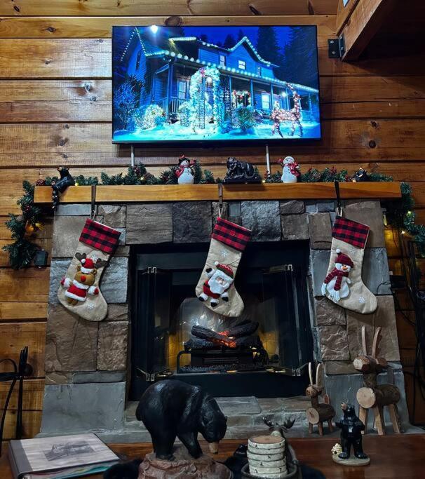 Bear Country Cabin Севьервилл Экстерьер фото